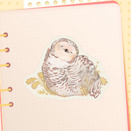 🐧: owl | 3" sticker