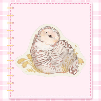 🐧: owl | 3" sticker